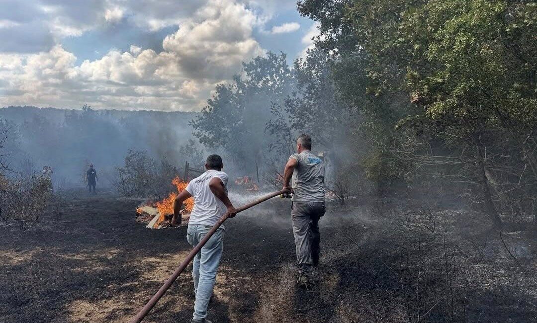 Kırklareli’nin Demirköy ilçesine bağlı İğneada beldesinde çıkan orman yangını söndürüldü