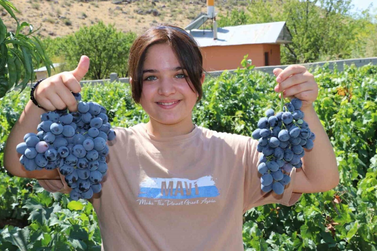 Erzincan ekonomisine katlı sağlayan ve sağlık açısından şifa kaynağı olan