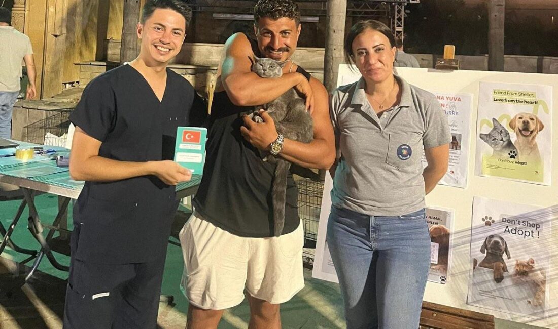 Kemer Belediyesi tarafından sokak hayvanlarının sahiplendirilmesi amacıyla düzenlenen iki konserde