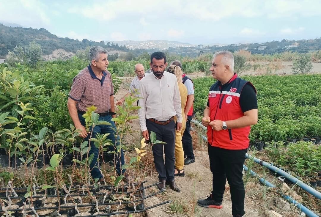 Hatay’ın Samandağ ilçesinde yürütülen fidan üretim sahaları incelendi. Türkiye’de tarımın