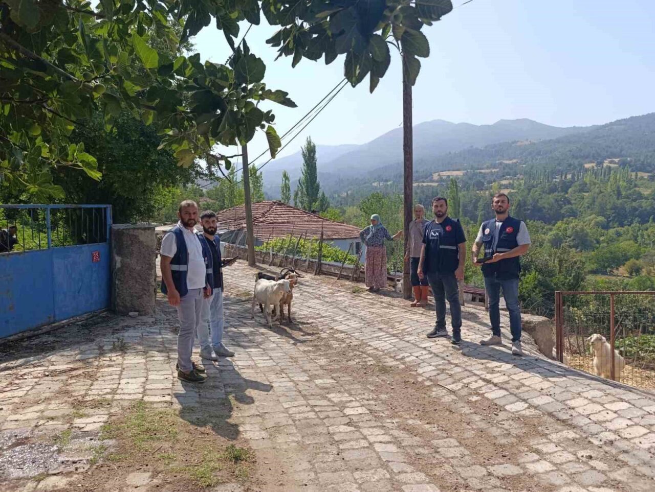 Balıkesir’in Sındırgı ilçesinde meydana gelen 6,1 büyüklüğündeki deprem sonrası, hasar