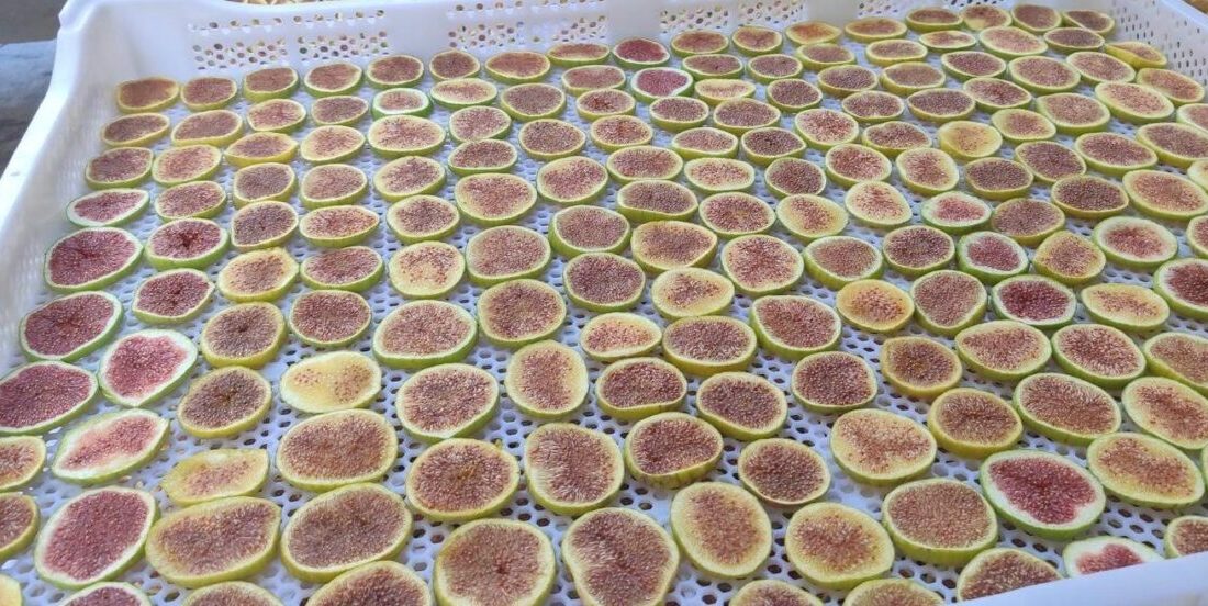 Manisa’nın Sarıgöl ilçesinde son yıllarda ev kadınlarının gözdesi haline gelen