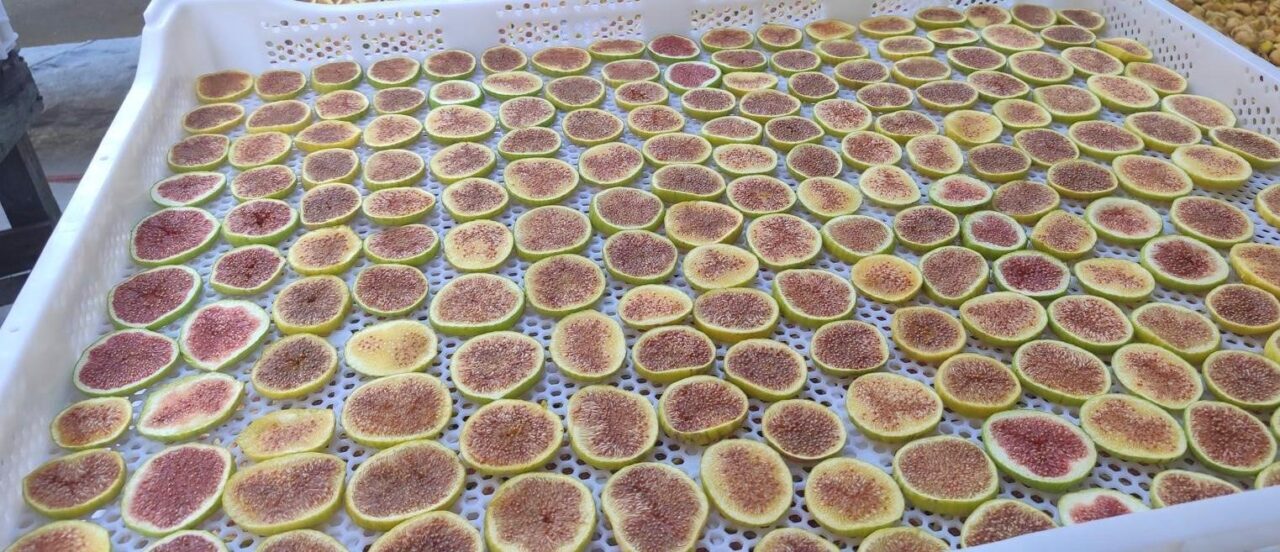 Manisa’nın Sarıgöl ilçesinde son yıllarda ev kadınlarının gözdesi haline gelen