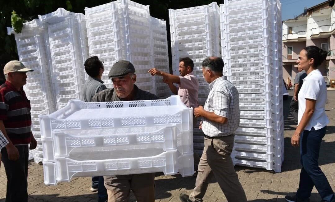 Aydın’ın önemli tarım ilçelerinden olan Sultanhisar ilçesinde, 900 üreticiye incir