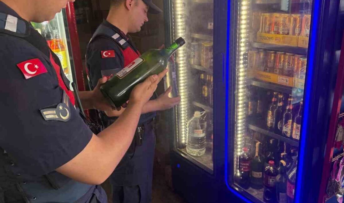 Aydın’ın İncirliova ilçesinde iş yerlerinde kaçak alkol ve tütün denetimi