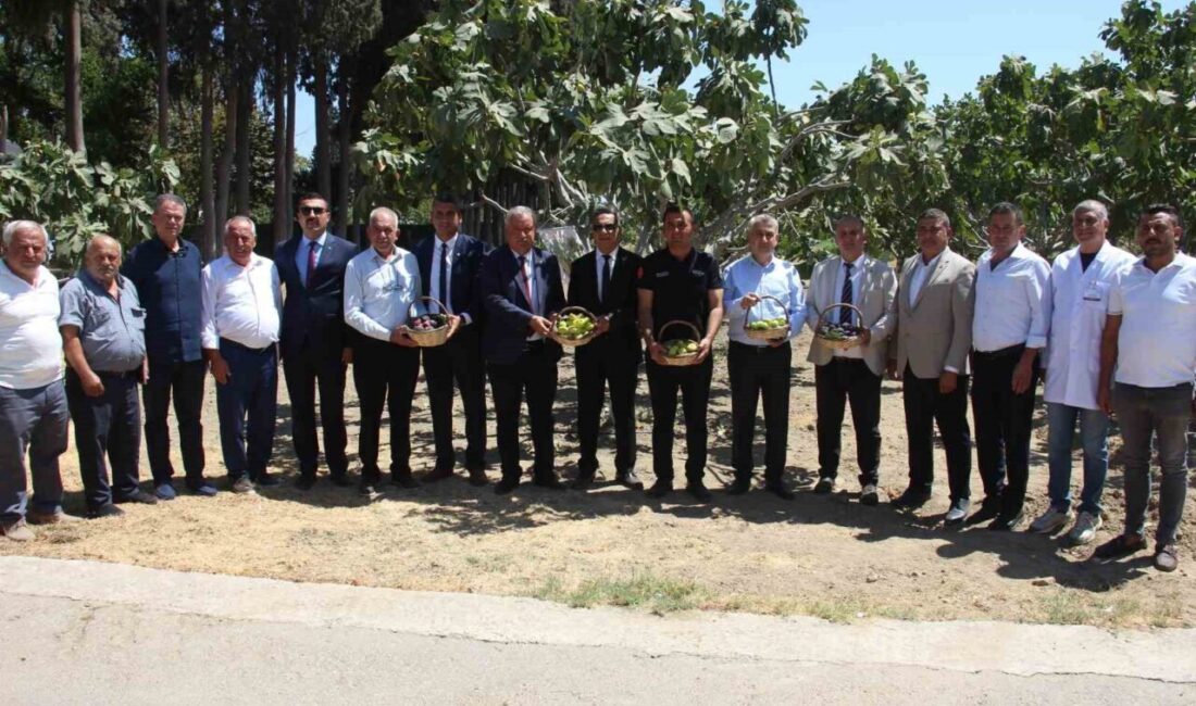 Aydın’ın İncirliova ilçesinde bulunan İncir Araştırma Enstitüsü Müdürlüğü Aydın Ziraat