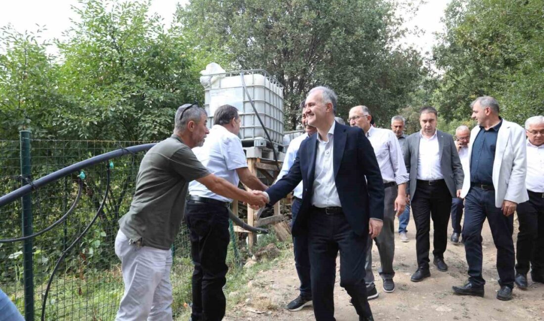 İnegöl’de 12 bin koloni ile yapılan bal üretiminde hasat başladı.