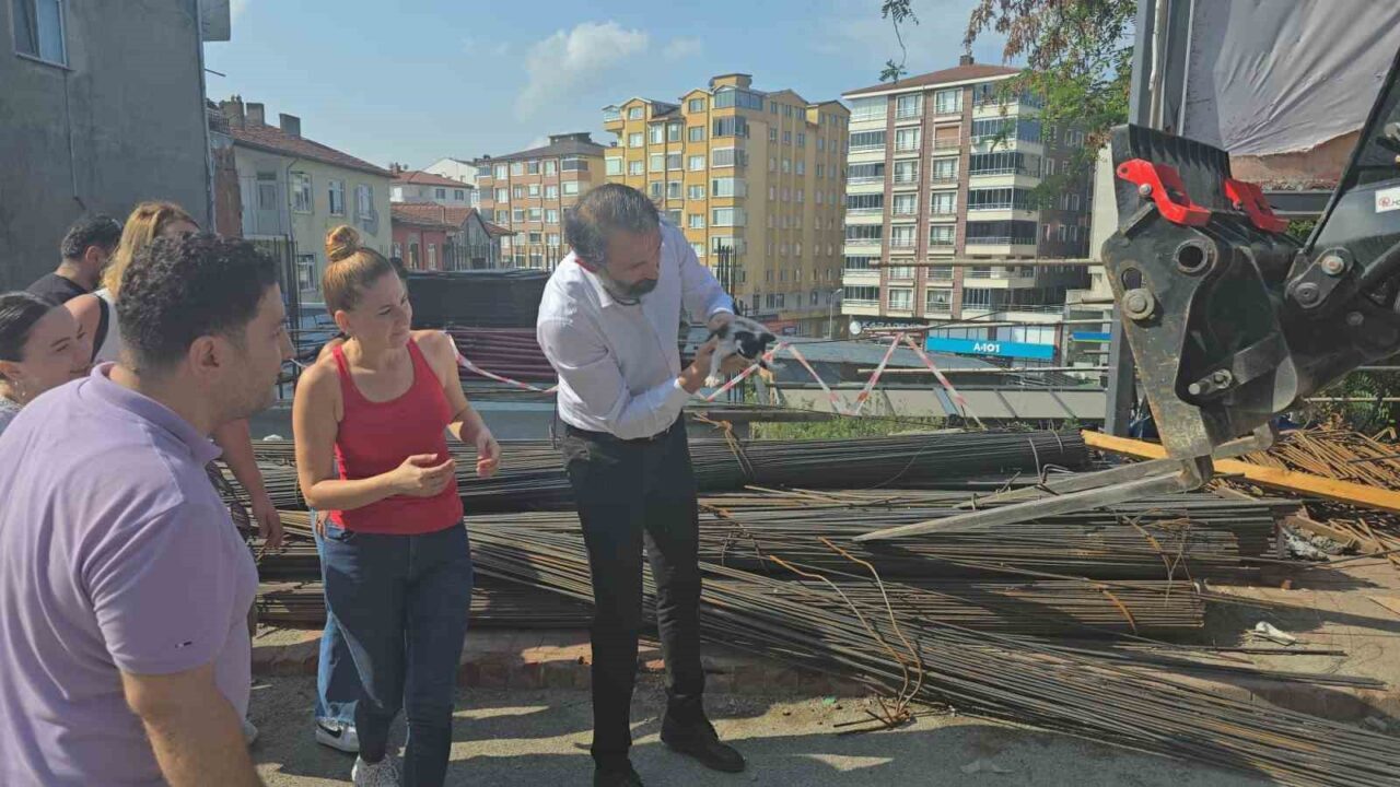 Zonguldak’ın Ereğli ilçesinde inşaat demirlerinin arasına sıkışan yavru kedi, çevredeki