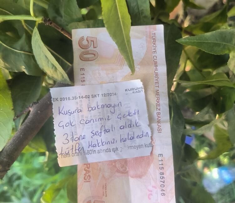 İnsanlık ölmemiş dedirten hareket Bursa’da bir hareket “insanlık ölmemiş” dedirtti. İznik ilçesinde bir şeftali