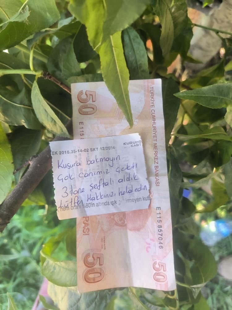 Bursa’da bir hareket “insanlık ölmemiş” dedirtti. İznik ilçesinde bir şeftali