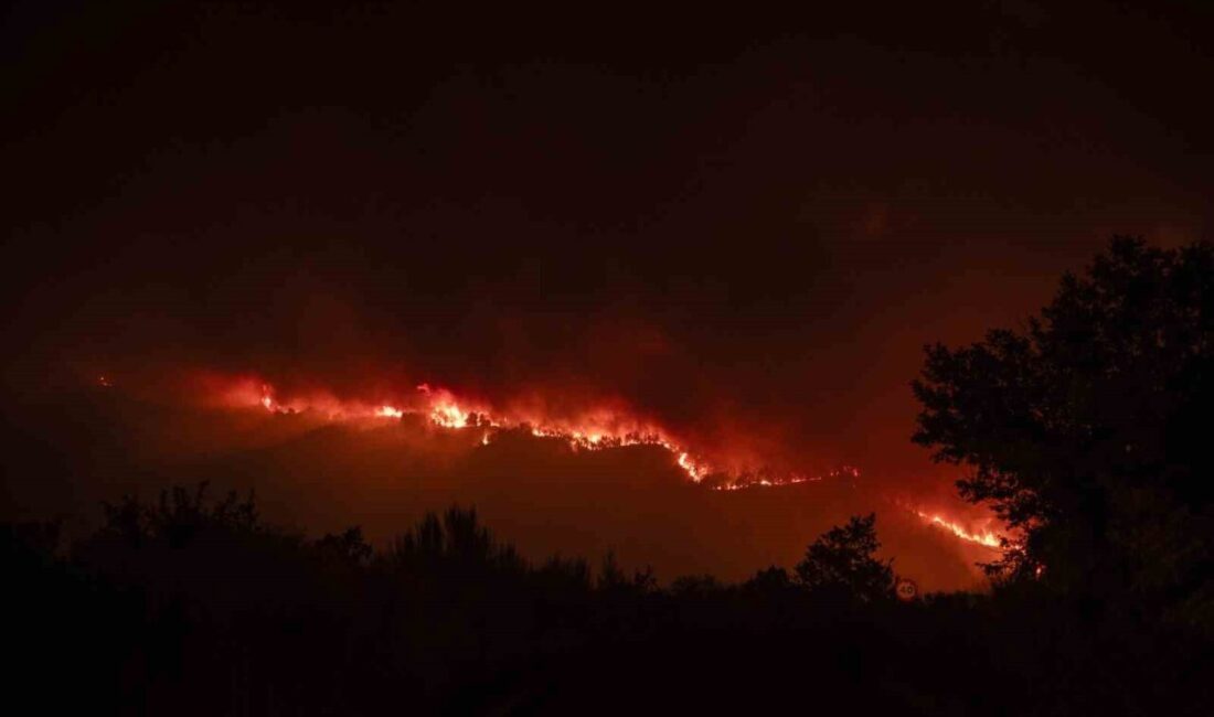 İspanya’nın Castilla ve Leon bölgesinde devam eden orman yangınında görevli