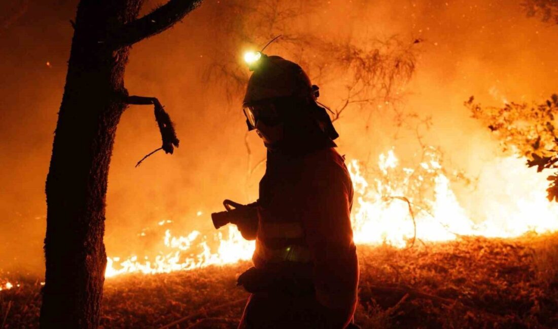İspanya’da devam eden eden orman yangınları nedeniyle 407 bin hektarlık