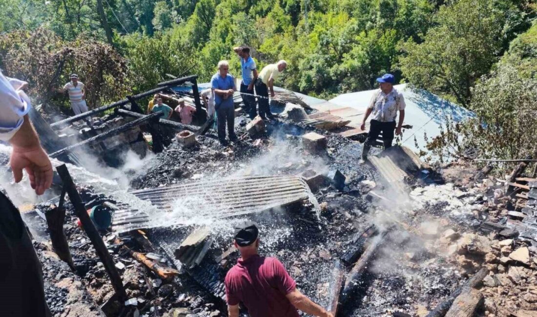 Erzurum’un İspir ilçesine bağlı Üzümbagı Köyü’nde çıkan yangın, büyük paniğe