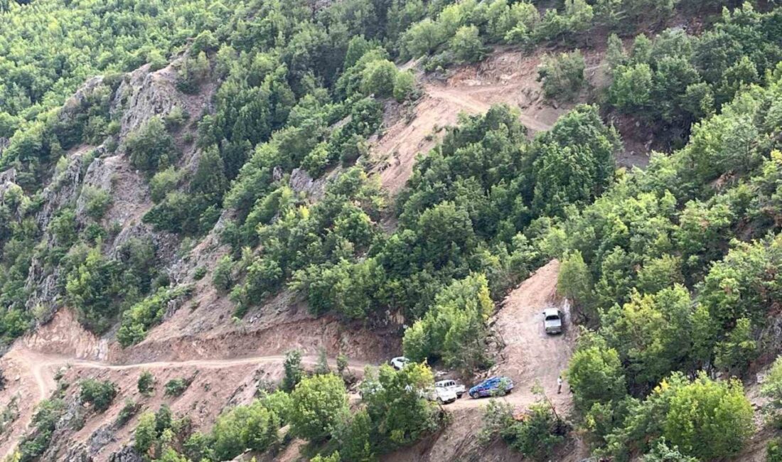 Erzurum’un İspir ilçesi Karakale Mahallesinde bitki örtüsü yangını korkuttu. Edinilen
