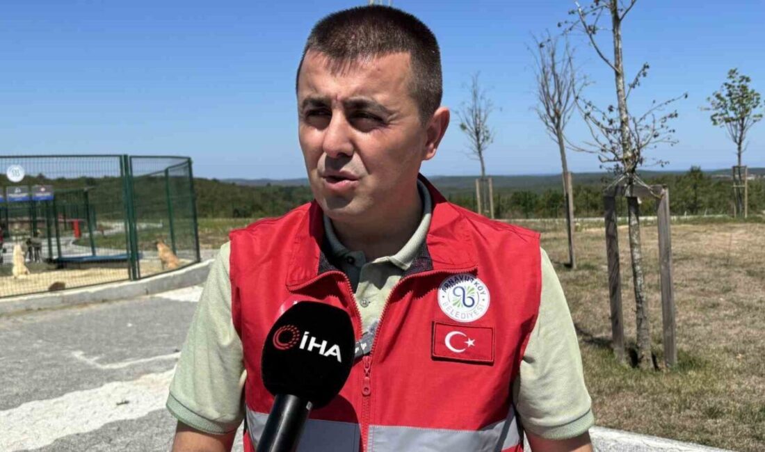 İstanbul Valiliği’nin sahipsiz hayvanların mevzuat çerçevesinde toplanması yönündeki talimatının ardından