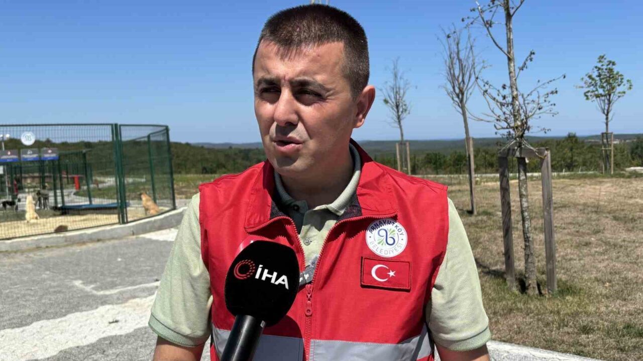 İstanbul Valiliği’nin sahipsiz hayvanların mevzuat çerçevesinde toplanması yönündeki talimatının ardından