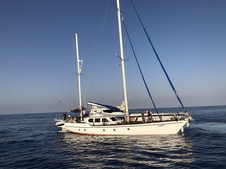 İzmir’in Urla ilçesi açıklarında yasa dışı yollarla yurt dışına çıkma