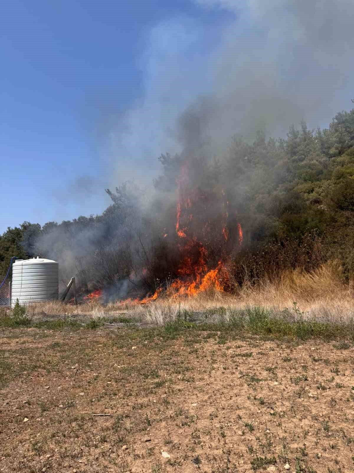 İzmir’in Menderes ilçesinde ziraat arazisinde çıkan yangın ormana sıçradı. Geniş