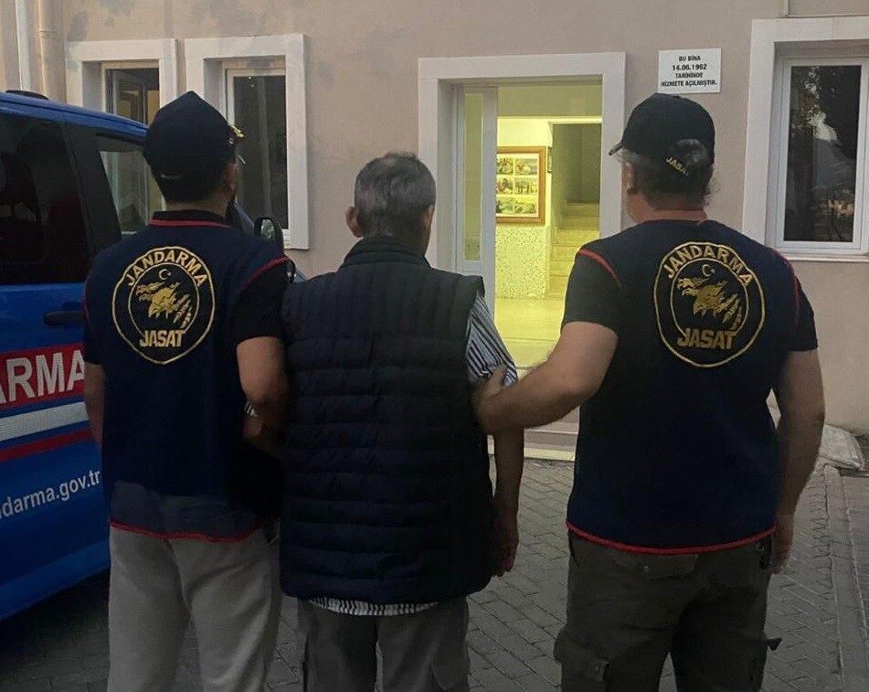 İzmir’in Selçuk ilçesinde 5 köpek ve 3 kedinin zehirlenerek öldürülmesiyle