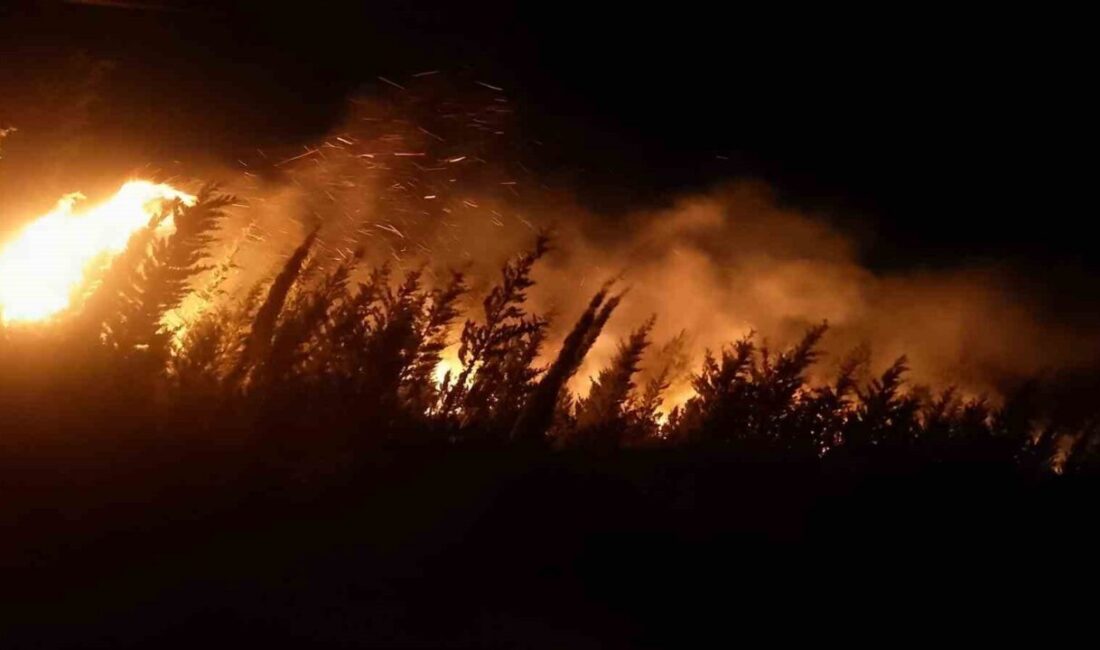 İzmir’in Urla ilçesi Kadıovacık Mahallesi’nde çıkan orman yangınına gece boyunca