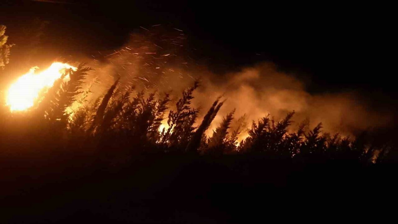 İzmir’in Urla ilçesi Kadıovacık Mahallesi’nde çıkan orman yangınına gece boyunca