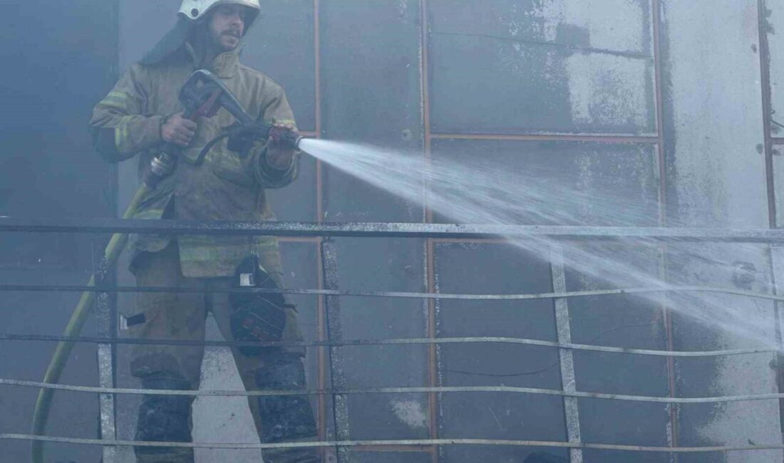 İzmir’in Menemen ilçesinde bir mobilya atölyesinde çıkan yangın, otluk alana