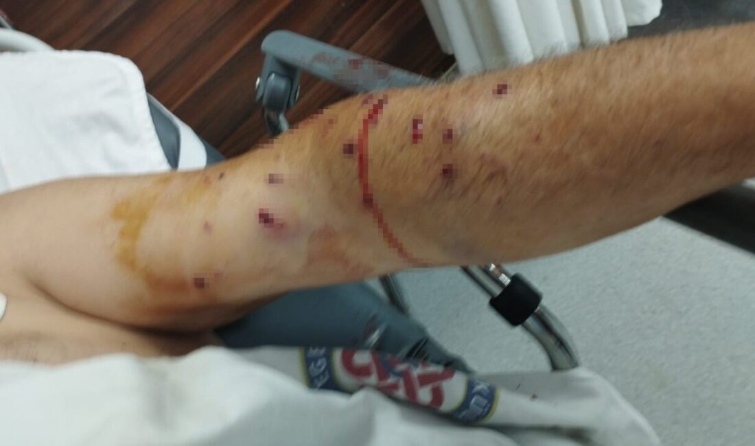 İzmir’de tır sahibi 180 liralık kantar ücreti için çalışanı vurdu İzmiri’in Bornova ilçesinde 180 TL olan kantar ücretine sinirlenen tır