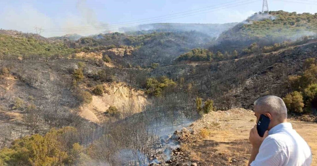 İzmir’in Menderes ilçesinde kaynak makinesinden sıçrayan kıvılcımların neden olduğu orman