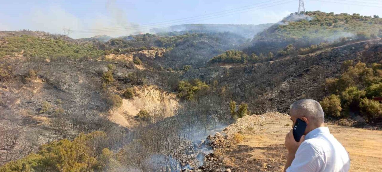 İzmir’in Menderes ilçesinde kaynak makinesinden sıçrayan kıvılcımların neden olduğu orman