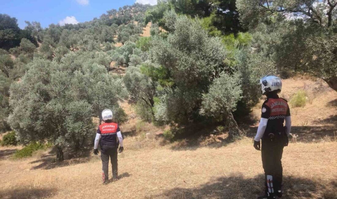 Aydın’da jandarma ekipleri orman yangınlarına karşı vatandaşları bilgilendirirken aynı zamanda