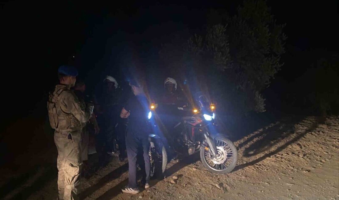 Aydın’ın Germencik ilçesinde jandarma ekipleri, tarımsal ürün hırsızlıklarının önlenmesine yönelik