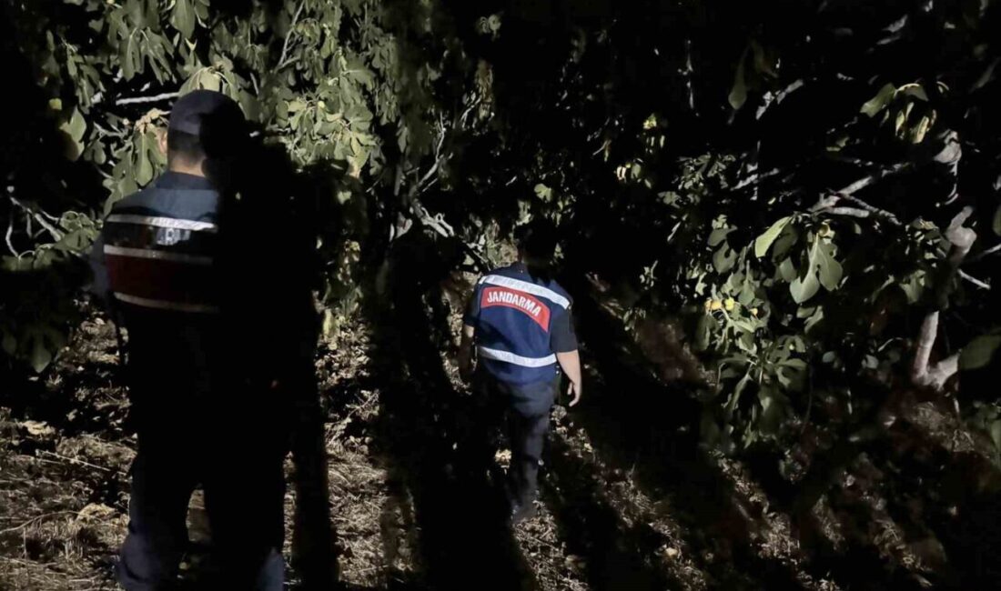 Aydın’ın çnemli tarım ürünlerinden olan incirde sezon hareketliliği sürerken, saha