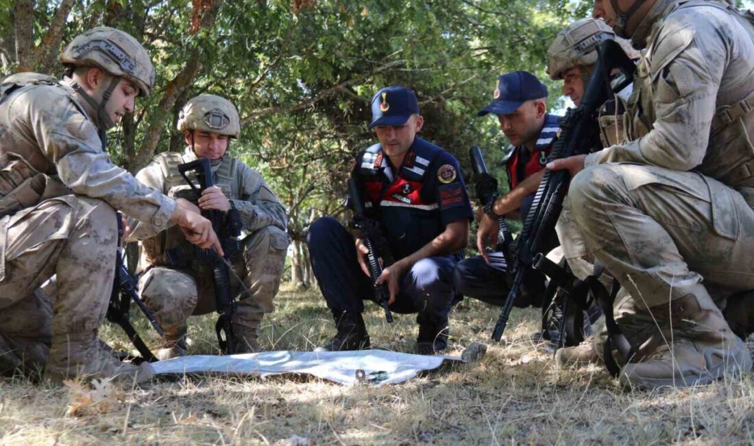 Eskişehir İl Jandarma Komutanlığı ekipleri, orman yangınlarının daha sık yaşandığı