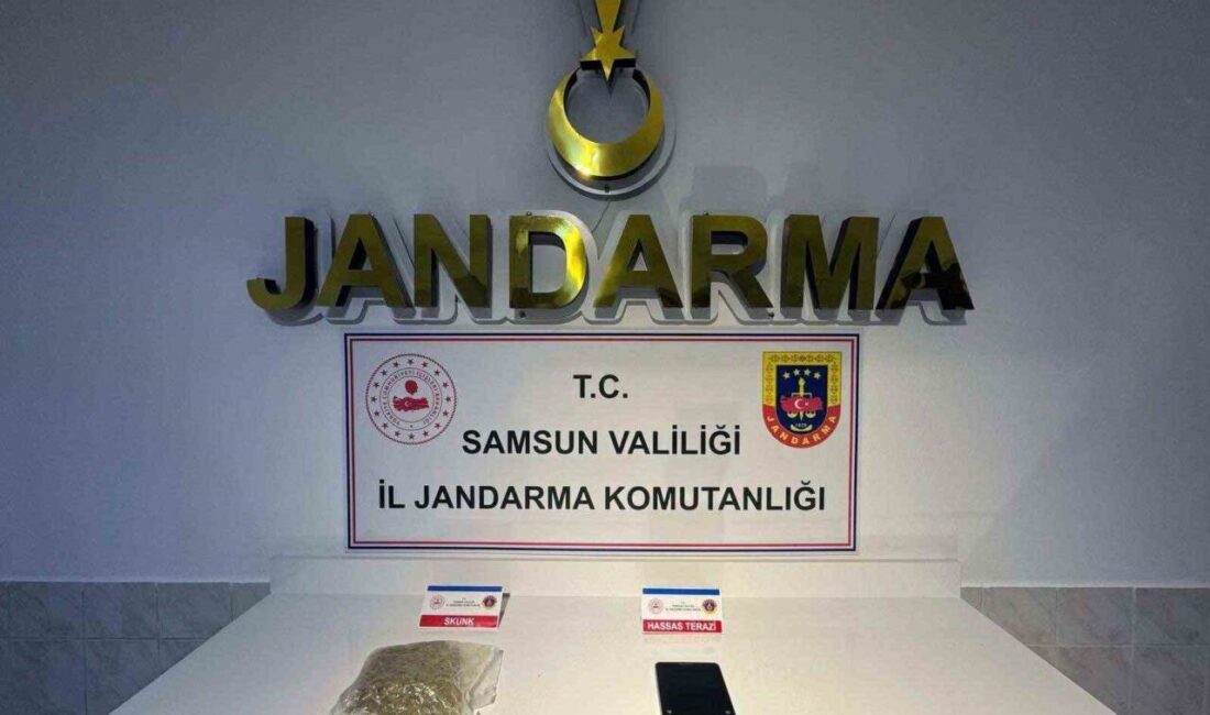 Samsun’un Bafra ilçesinde jandarma tarafından düzenlenen 2 ayrı uyuşturucu operasyonunda