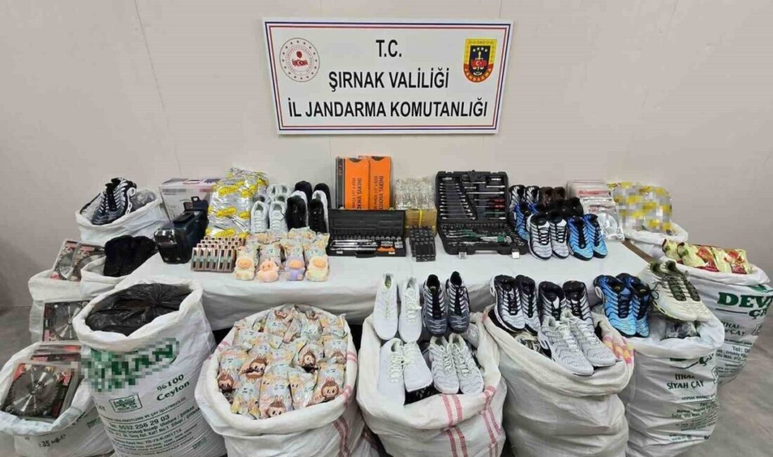 Şırnak İl Jandarma Komutanlığı Kaçakçılık ve Organize Suçlarla Mücadele (KOM)