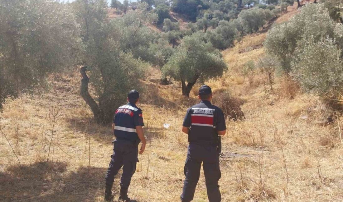 Aydın’da orman yangınlarının önlenmesine yönelik sahaya inen jandarma ekipleri, ormanlık