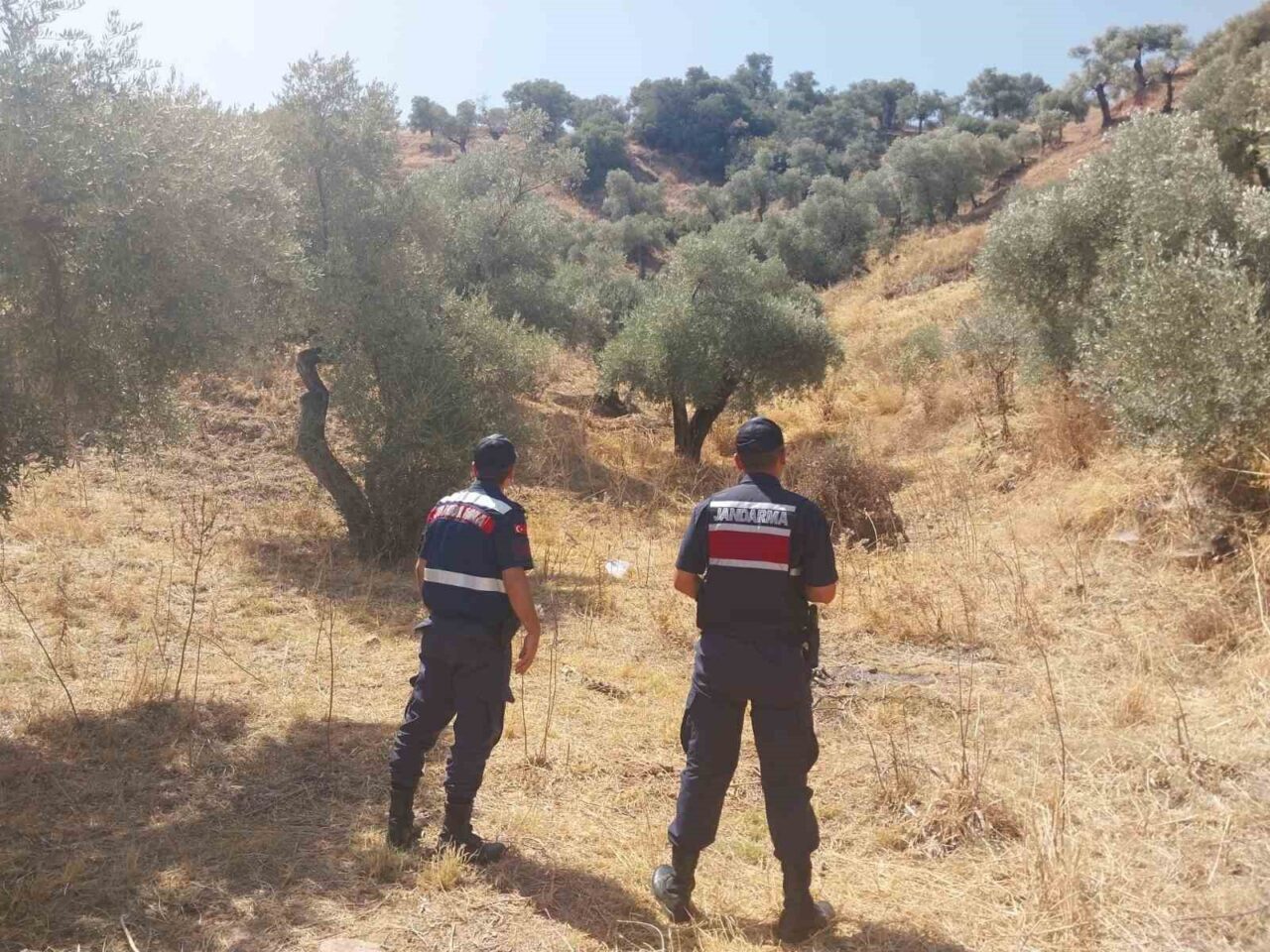 Aydın’da orman yangınlarının önlenmesine yönelik sahaya inen jandarma ekipleri, ormanlık