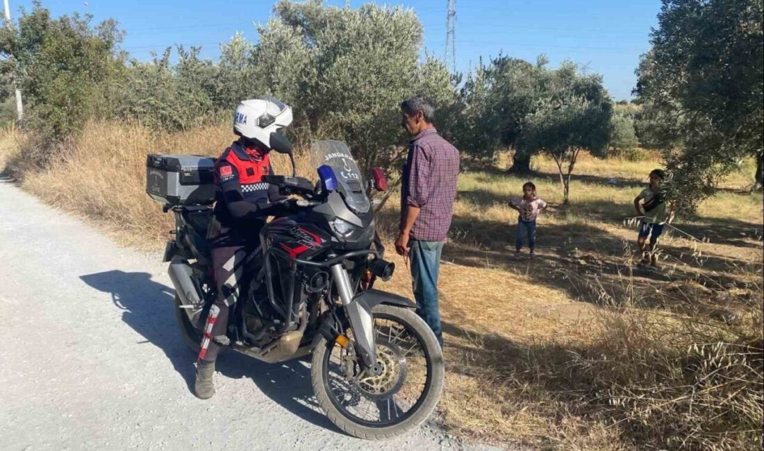 Aydın’ın Germencik ilçesinde sahaya inen jandarma ekipleri, incir hırsızlarına yönelik