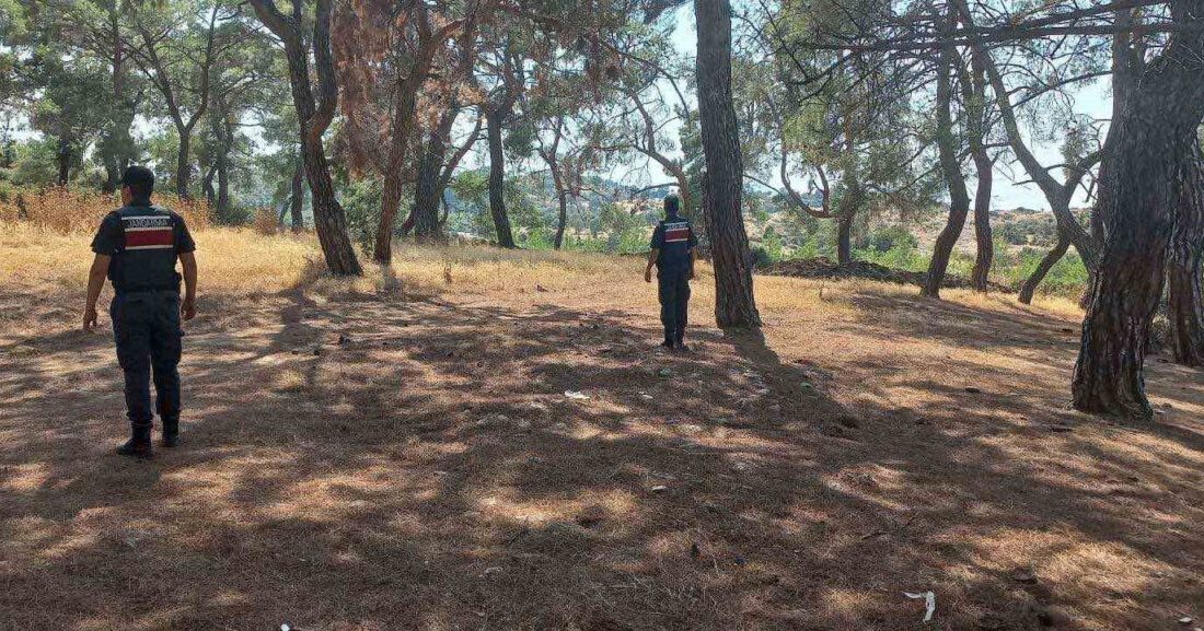Aydın’ın Efeler, Köşk, Karacasu ve Sultanhisar ilçelerinde sahaya inen jandarma