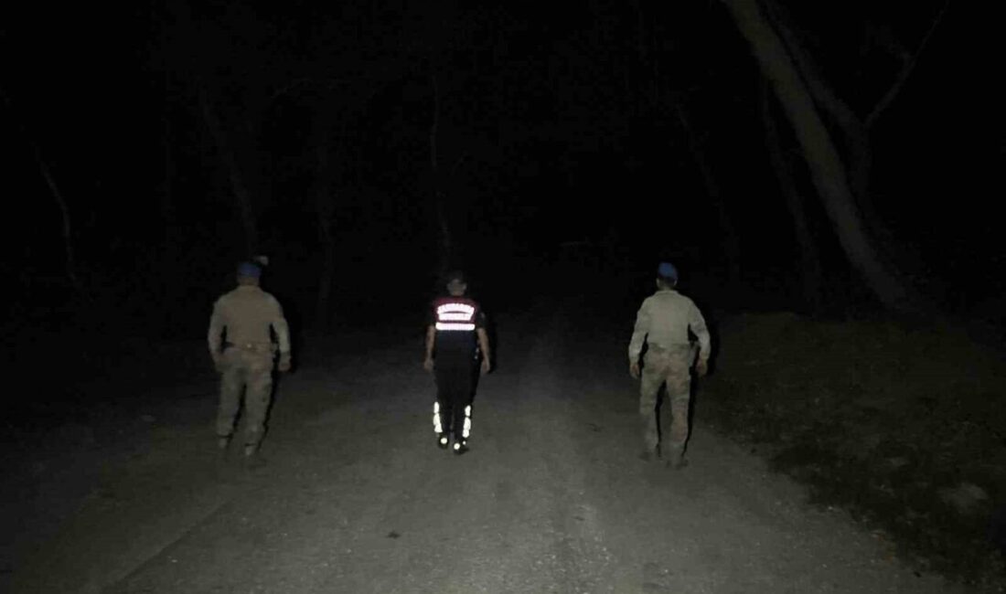 Aydın’ın Efeler ilçesinde tarımsal ürün hırsızlıklarını önlemek için jandarma ekipleri