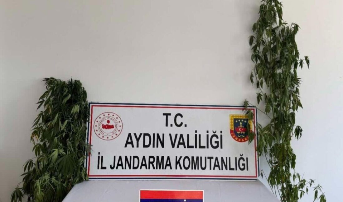Aydın’da jandarma ekipleri tarafından yapılan operasyonlarda 12 şüpheli yakalandı. Aydın