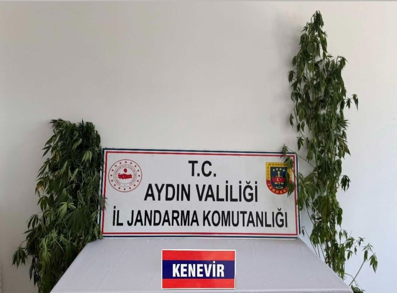 Aydın’da jandarma ekipleri tarafından yapılan operasyonlarda 12 şüpheli yakalandı. Aydın
