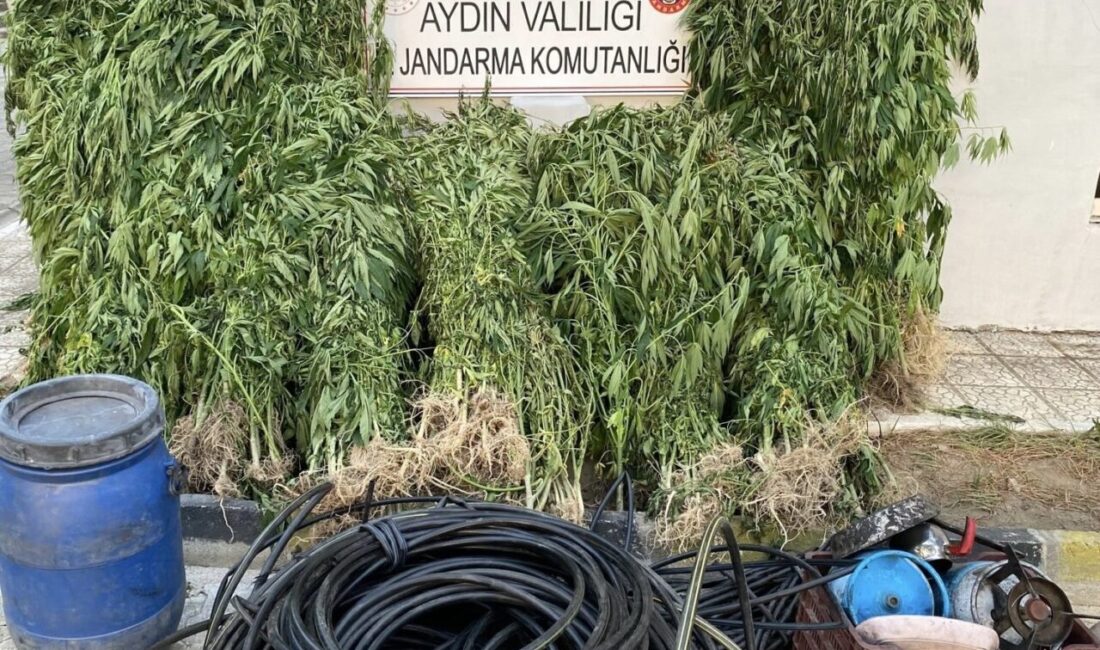 Aydın’da uyuşturucu kullanımı ve ticaretine yönelik yapılan 3 günlük operasyonlarda