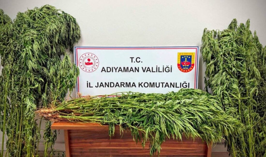 Adıyaman İl Jandarma Komutanlığı ekiplerince uyuşturucu madde satıcılarına yönelik sürdürülen