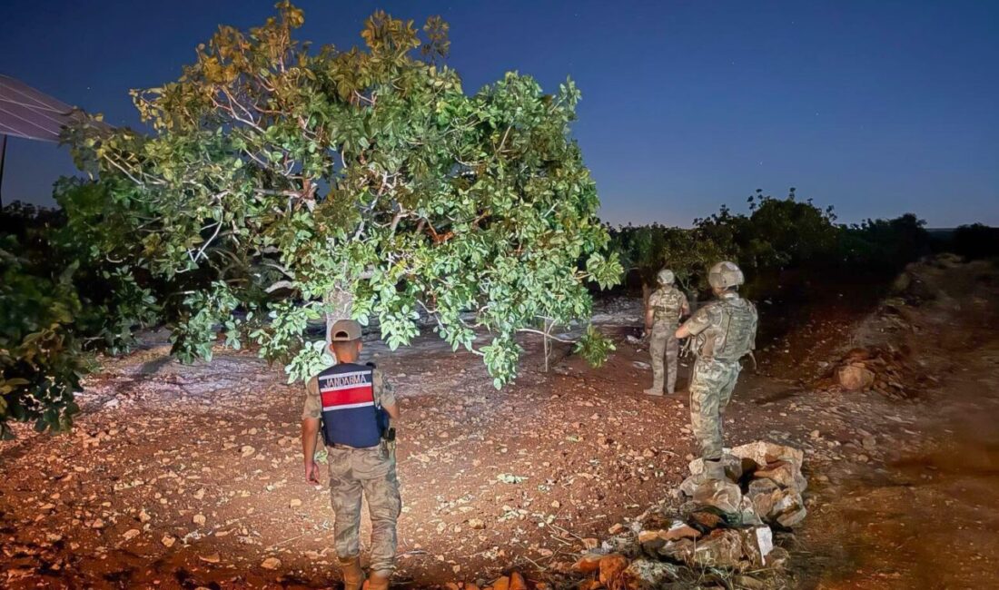 Şanlıurfa’da fıstık hasadının başlamasının ardından jandarma ekiplerinin hırsızlık olaylarına karşı