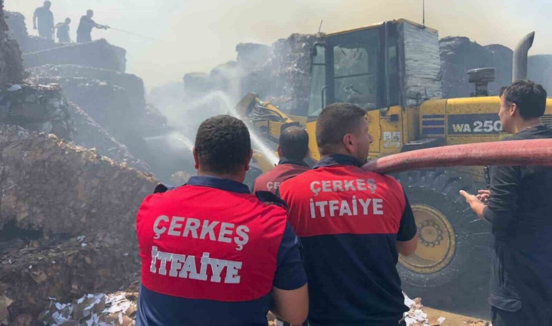 Çankırı’nın Çerkeş ilçesinde bir kağıt fabrikasının hammaddelerinin depolandığı alanda çıkan