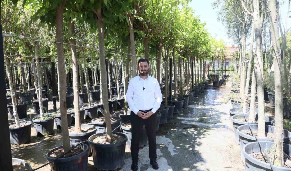 Kağıthane Belediyesi, ilçeye 1 milyon metrekare yeni yeşil alan kazandırdı.