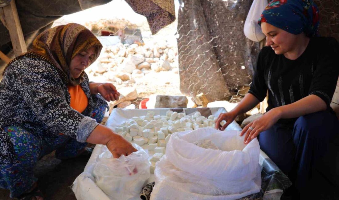 Kahramanmaraş’ın Ahır Dağı zirvesindeki Yedikuyular Yaylası’nda yaşayan yaylacılar, geleneksel yöntemlerle