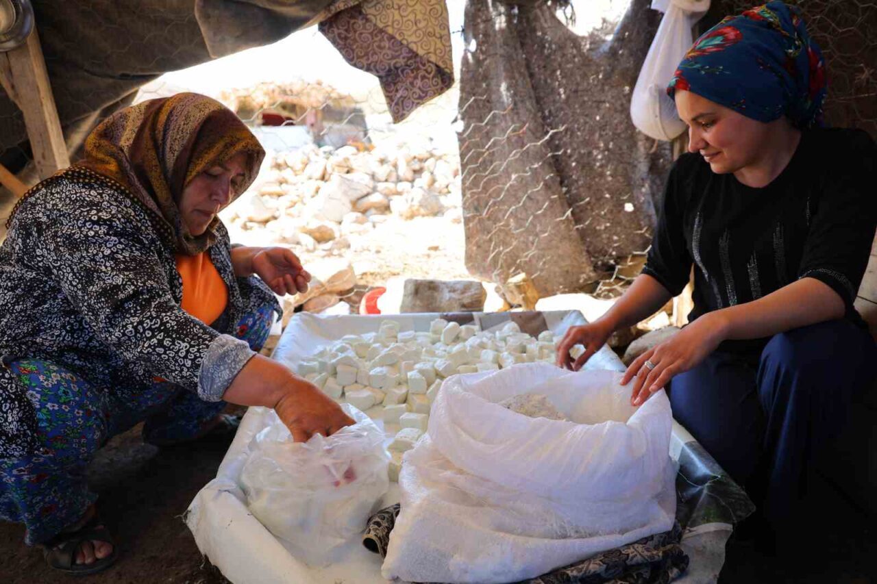Kahramanmaraş’ın Ahır Dağı zirvesindeki Yedikuyular Yaylası’nda yaşayan yaylacılar, geleneksel yöntemlerle