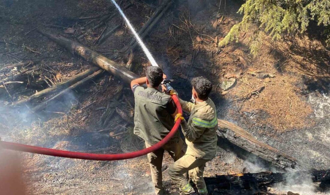 Kahramanmaraş’ın Göksun ilçesi kırsalında çıkan orman yangını kontrol altına alındı.